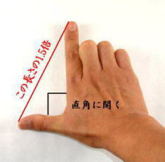 箸の持ち易い長さ
